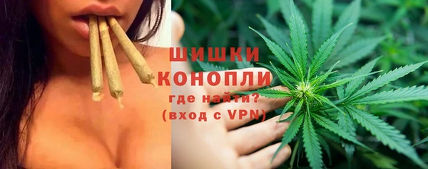 шишки Краснотурьинск
