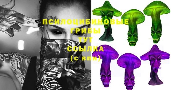 шишки Краснотурьинск