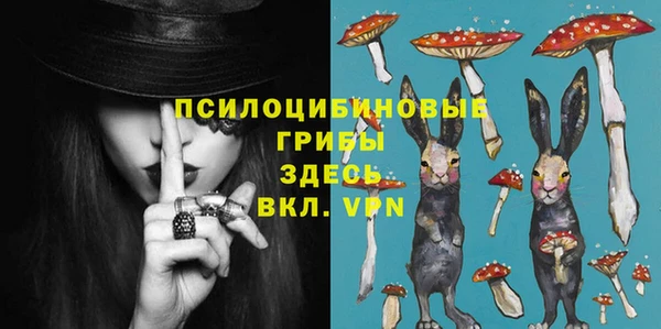 амф Кулебаки